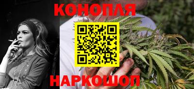 сатива Апшеронск